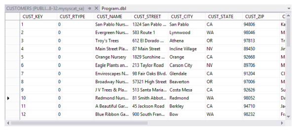 Results of Retrieve Data function for CUSTOMERS table